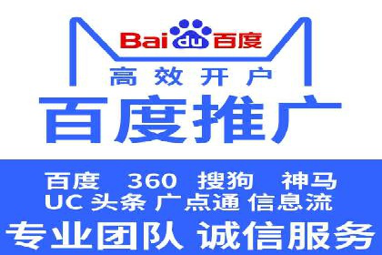 某某SEM团队成功案例：广告投放策略揭秘